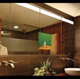 Spiegelschrank